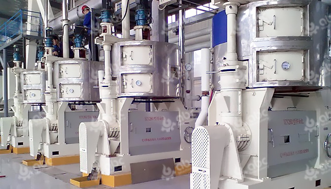 Машина для извлечения хлопкового масла