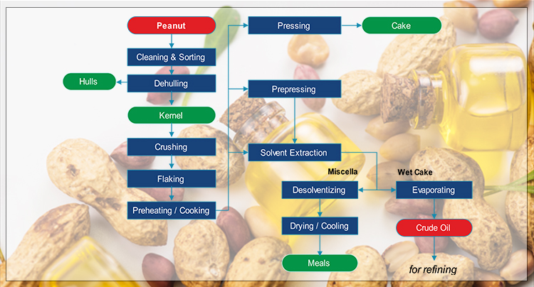 Процесс производства арахисового масла